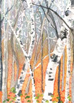 "Among The Birches" by Janine Bessenecker, Madison WI - Watercolor - SOLD